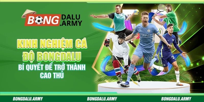 Kinh nghiệm cá độ Bongdalu - Bí quyết để trở thành cao thủ