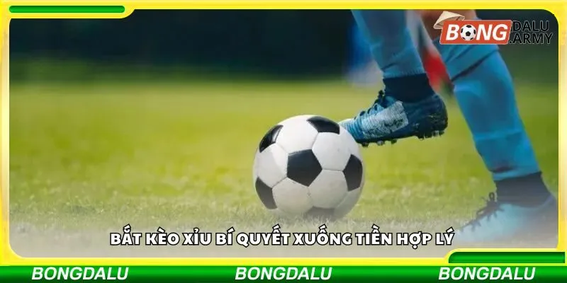 Bắt kèo xỉu bí quyết xuống tiền hợp lý
