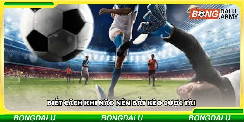 Biết cách khi nào nên bắt kèo cược tài