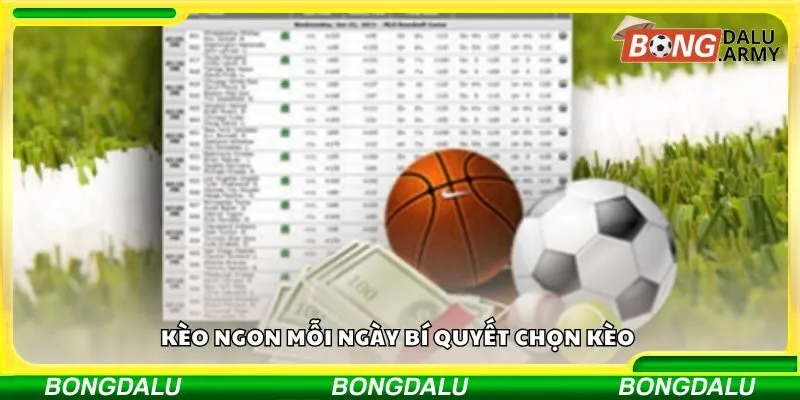Kèo ngon mỗi ngày bí quyết chọn kèo